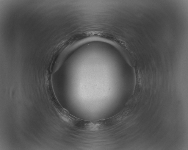 X0000056310570200509021540