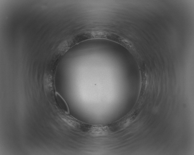 X0000056310571200509021540