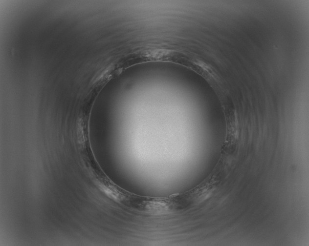 X0000056310572200509021540