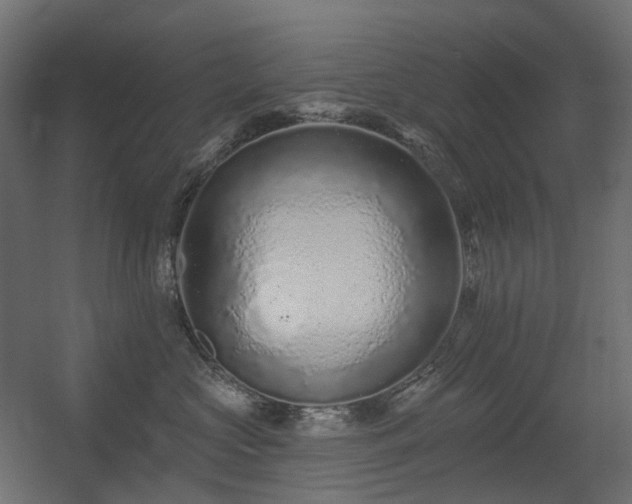 X0000056310573200509021540