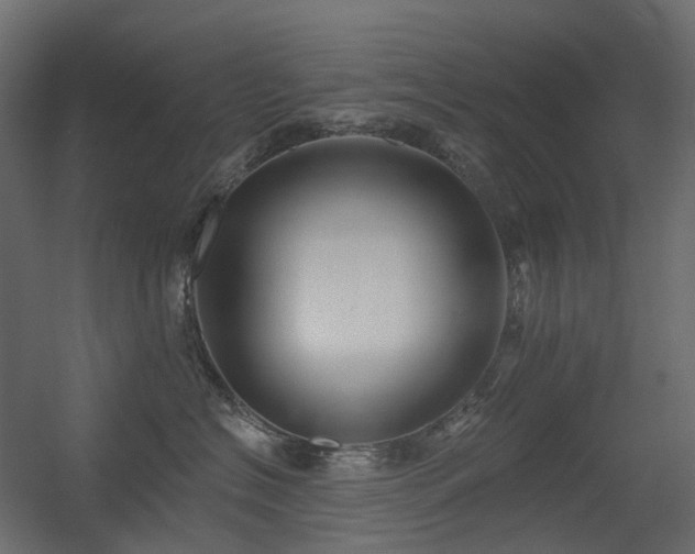 X0000056310574200509021540