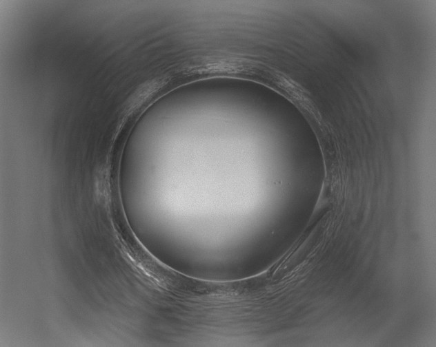 X0000056310578200509021539