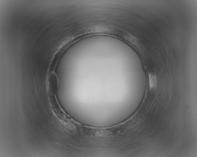 X0000056310579200509021539