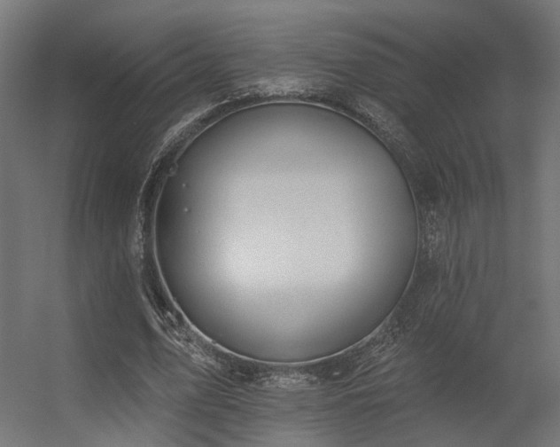X0000056310583200509021539