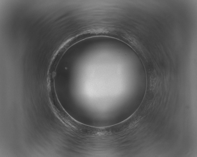 X0000056310584200509021539