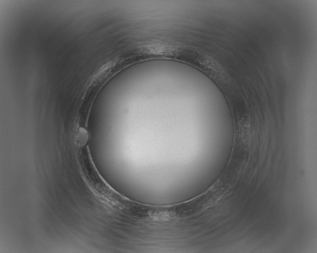 X0000056310587200509021539