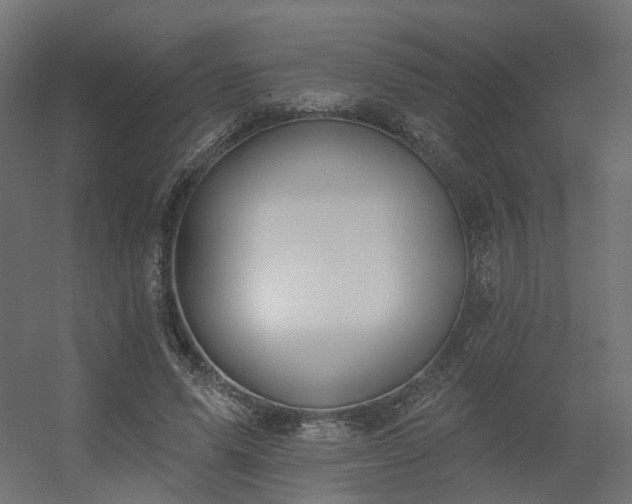 X0000056310591200509021539