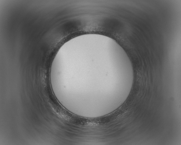 X0000056310592200509021539