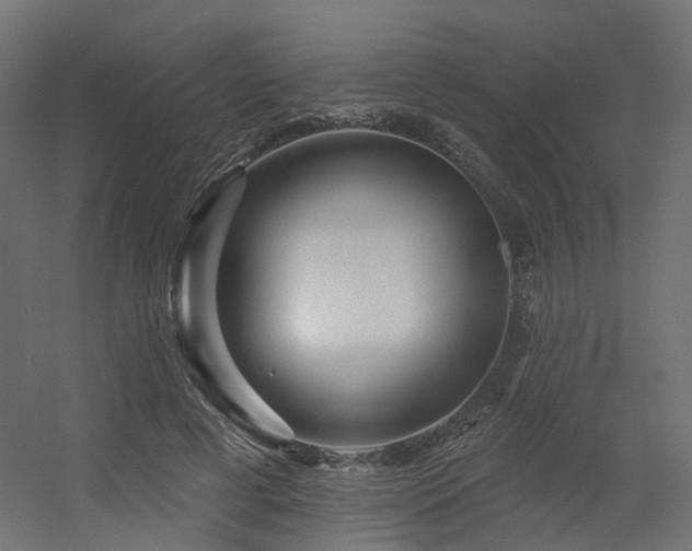 X0000056310593200509021539