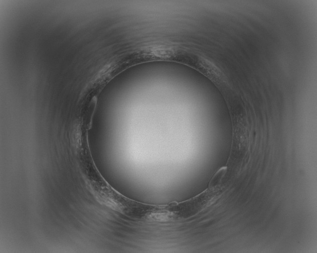 X0000056310595200509021539