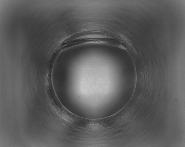 X0000056310596200509021539