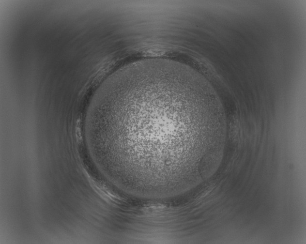 X0000056310598200509021539