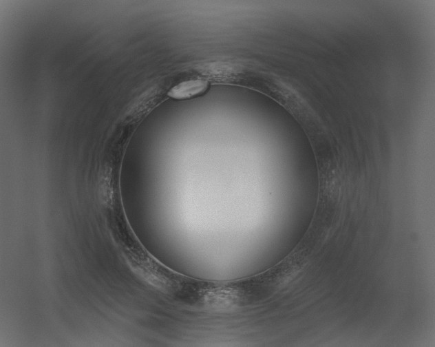 X0000056310599200509021539