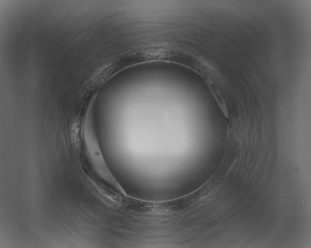 X0000056310601200509021539