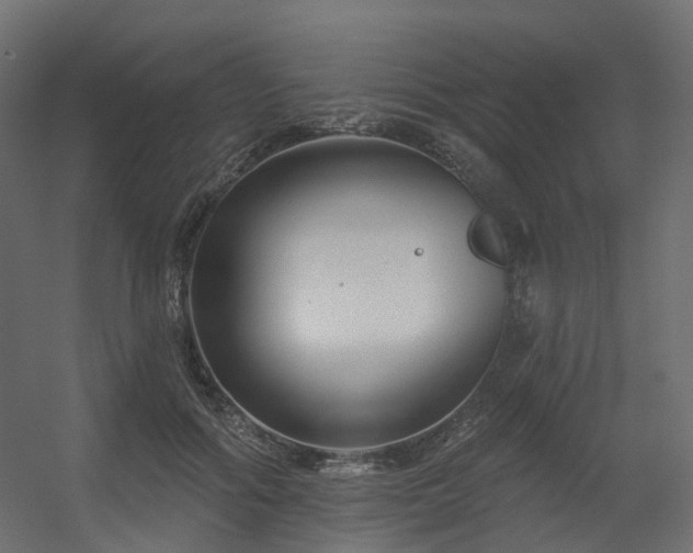 X0000056310602200509021539