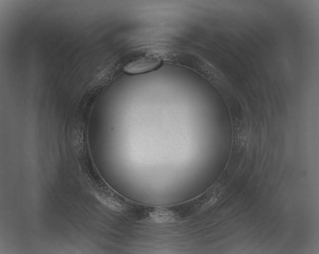 X0000056310603200509021539