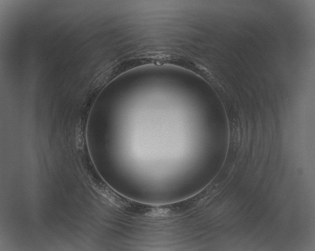 X0000056310609200509021539