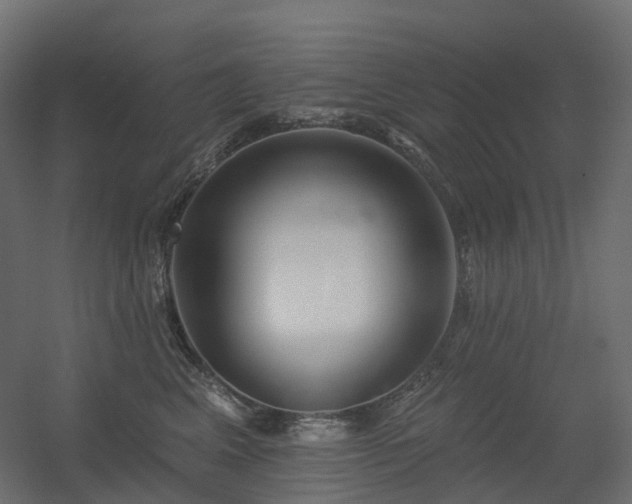 X0000056310617200509021539