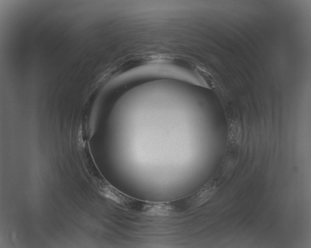 X0000056310621200509021538