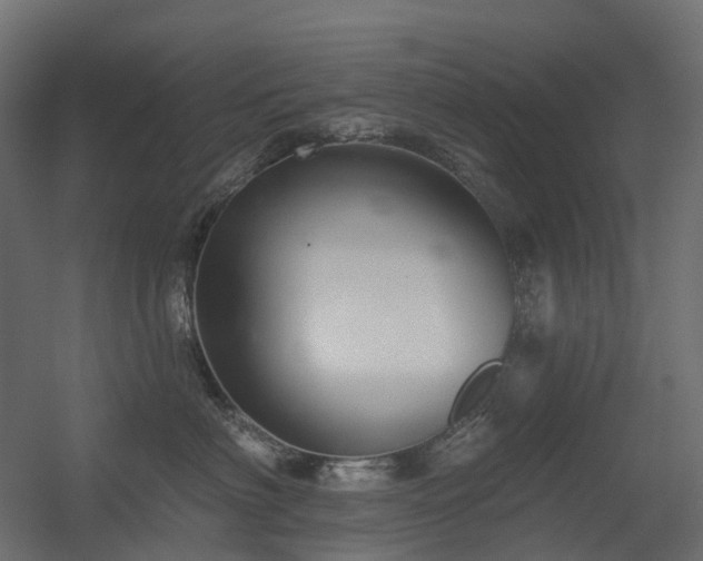 X0000056310622200509021538