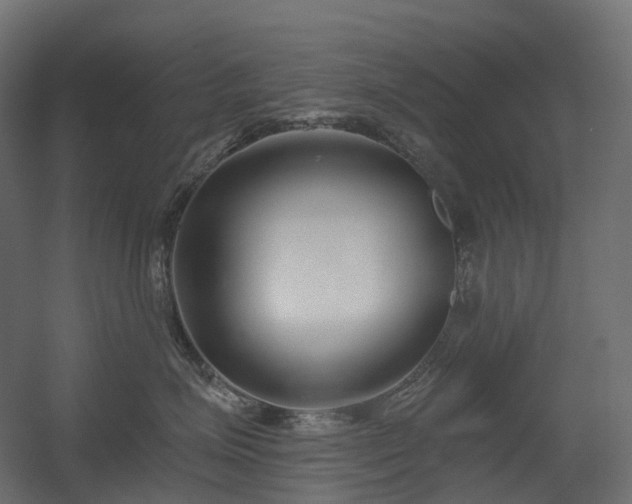 X0000056310623200509021538