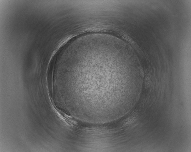 X0000056310626200509021538