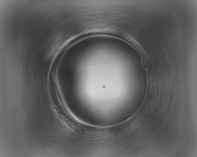 X0000056310628200509021538