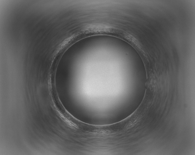 X0000056310629200509021538