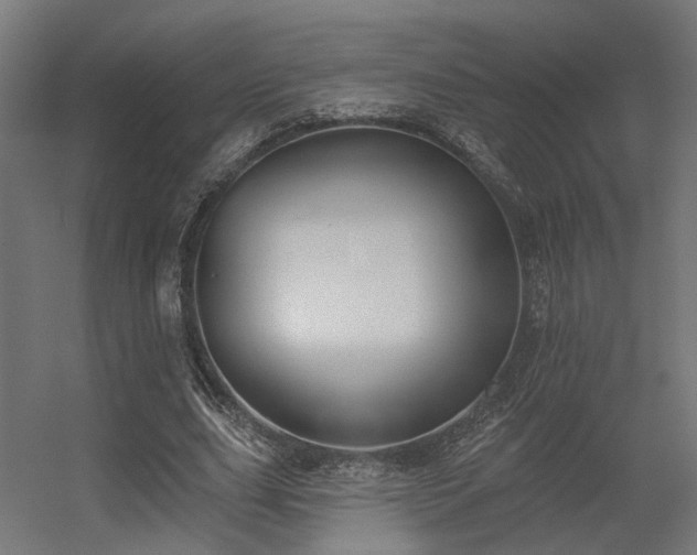 X0000056310631200509021538