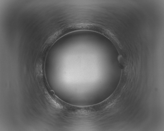 X0000056310633200509021538