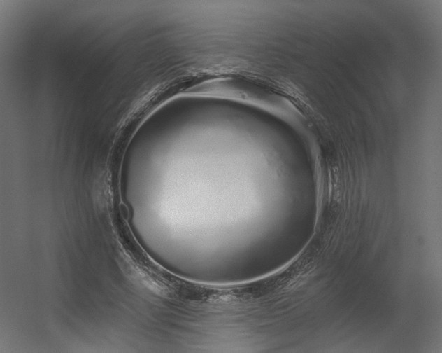 X0000056310634200509021538