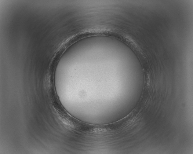 X0000056310636200509021538