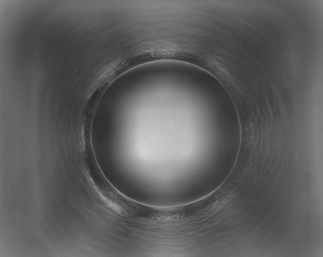 X0000056310638200509021538