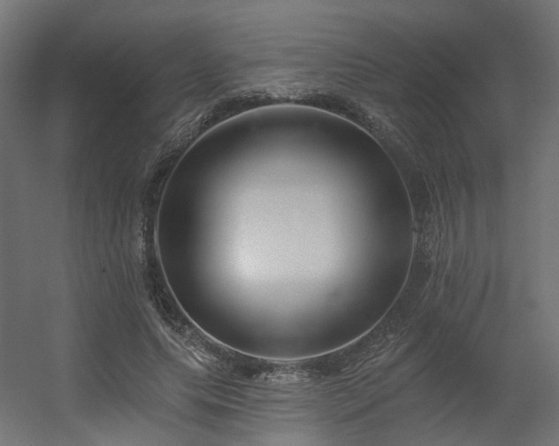 X0000056310639200509021538