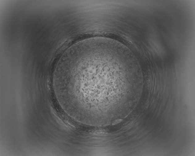 X0000056310643200509021538