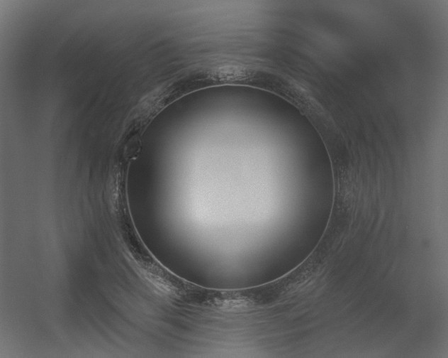 X0000056310645200509021538