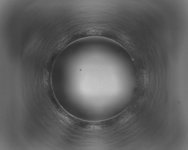 X0000056310649200509021538