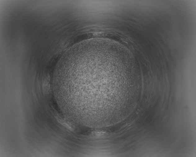 X0000056310650200509021538