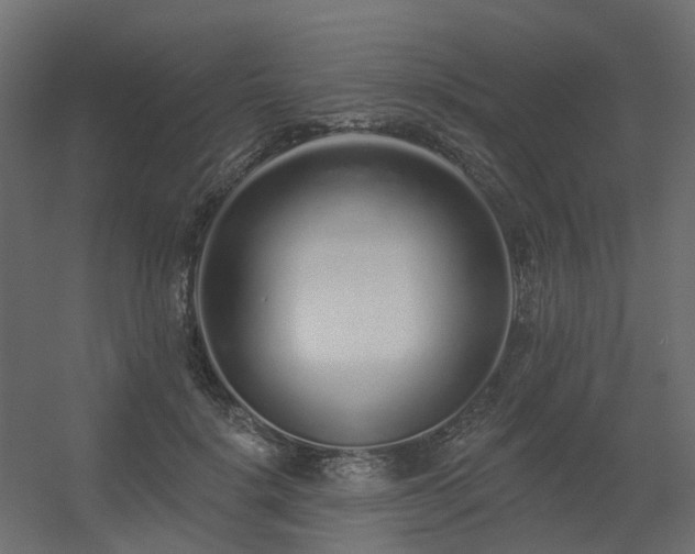 X0000056310652200509021538