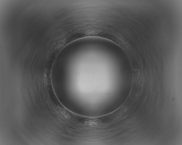 X0000056310655200509021538