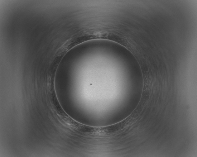 X0000056310656200509021538