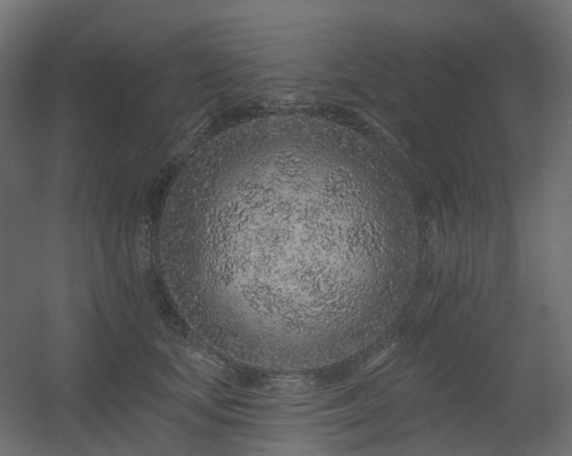 X0000056310659200509021538