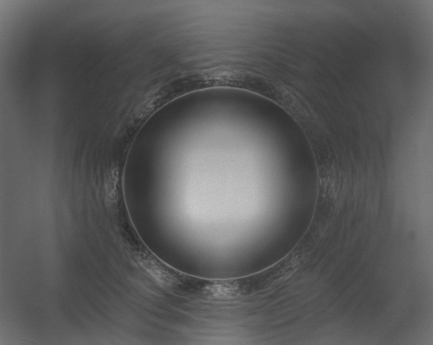 X0000056310660200509021538