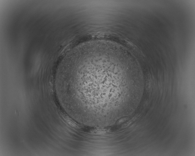 X0000056310661200509021538