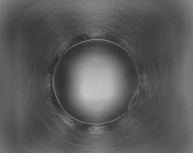 X0000056310664200509021538