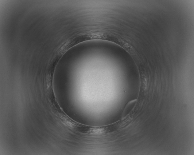 X0000056310665200509021538