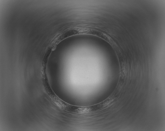 X0000056310667200509021538