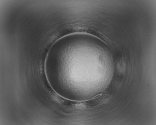 X0000056310668200509021538