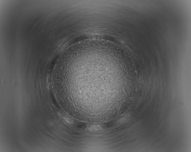 X0000056310671200509021538