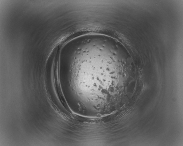 X0000056310679200509021537